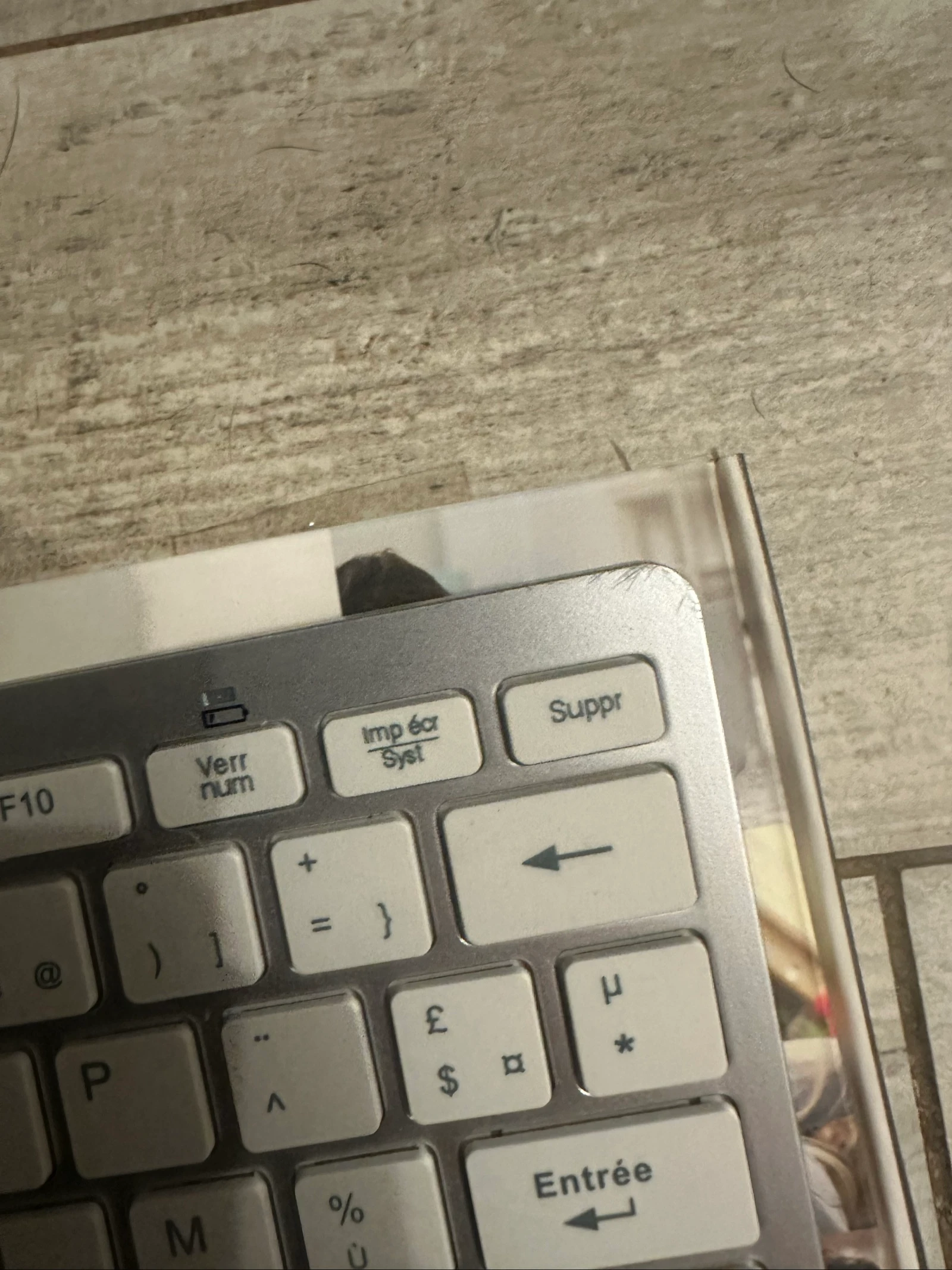 Keyboard – photo 4
